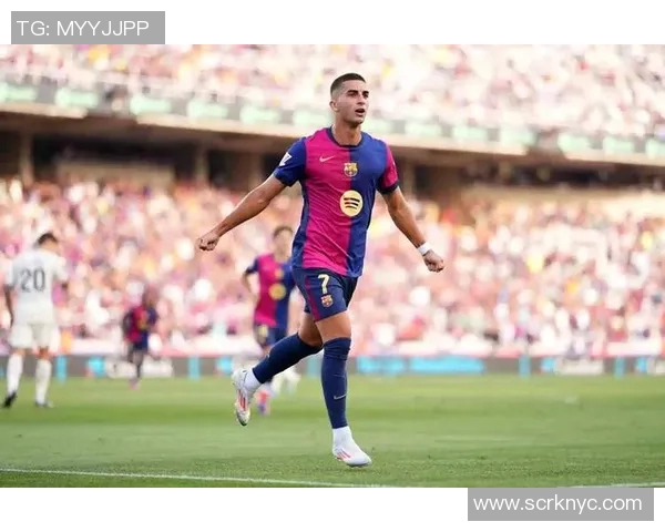 费兰托雷斯：从新星崛起到世界足球舞台的璀璨之星